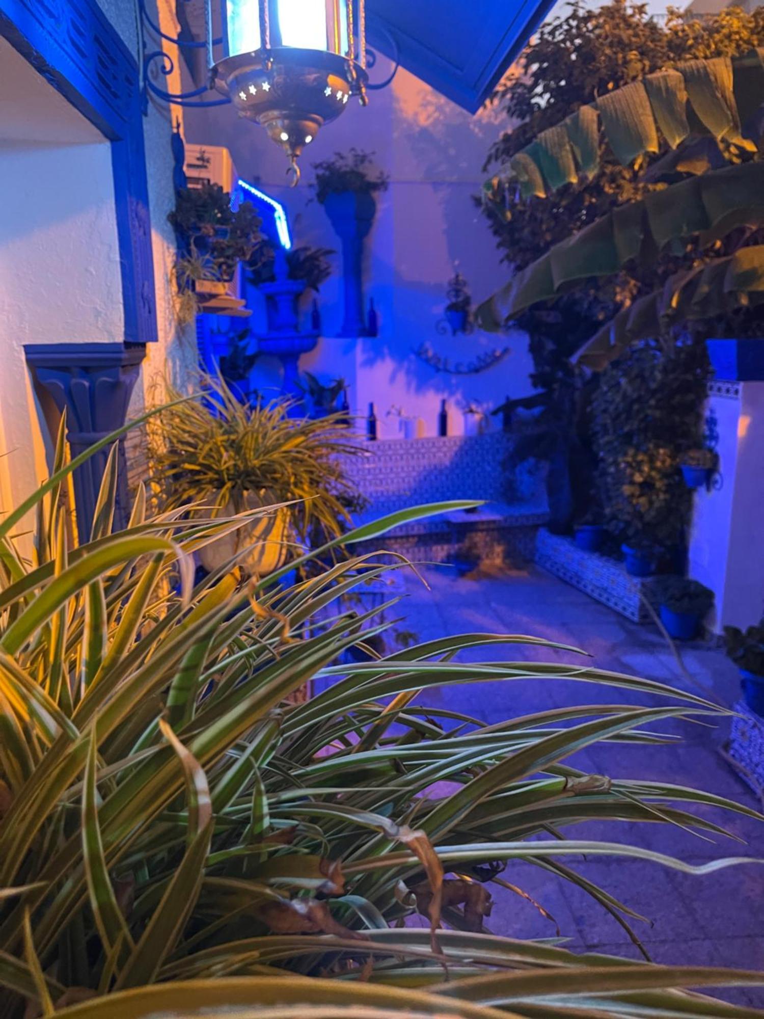 The Blue And White Perle Sidi Bou Said Exterior foto