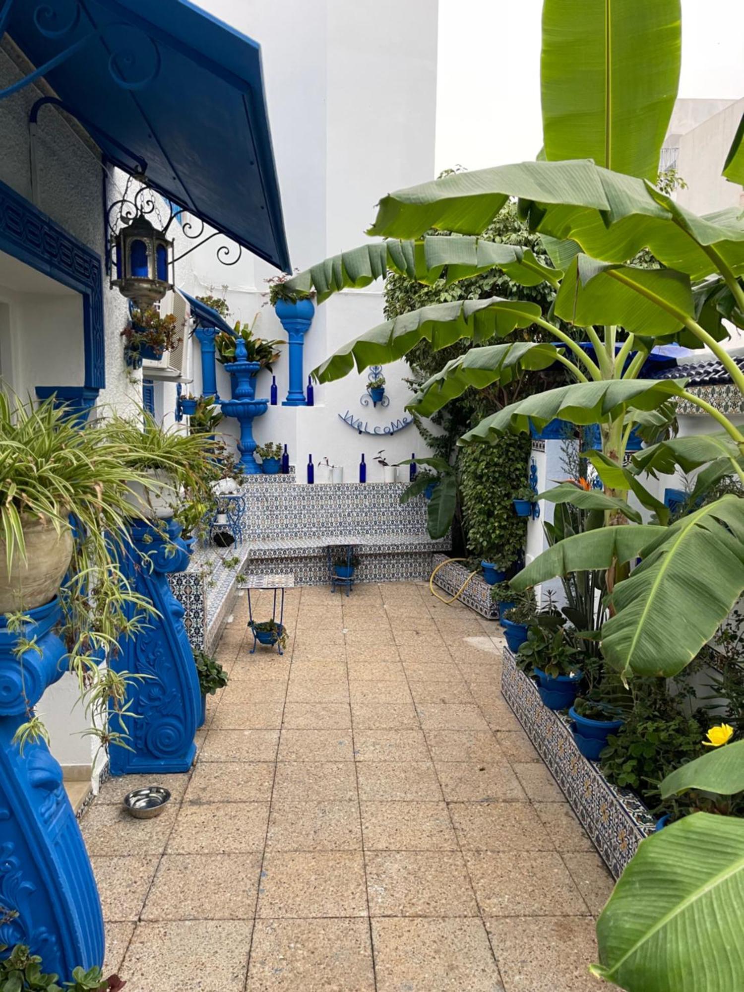 The Blue And White Perle Sidi Bou Said Exterior foto