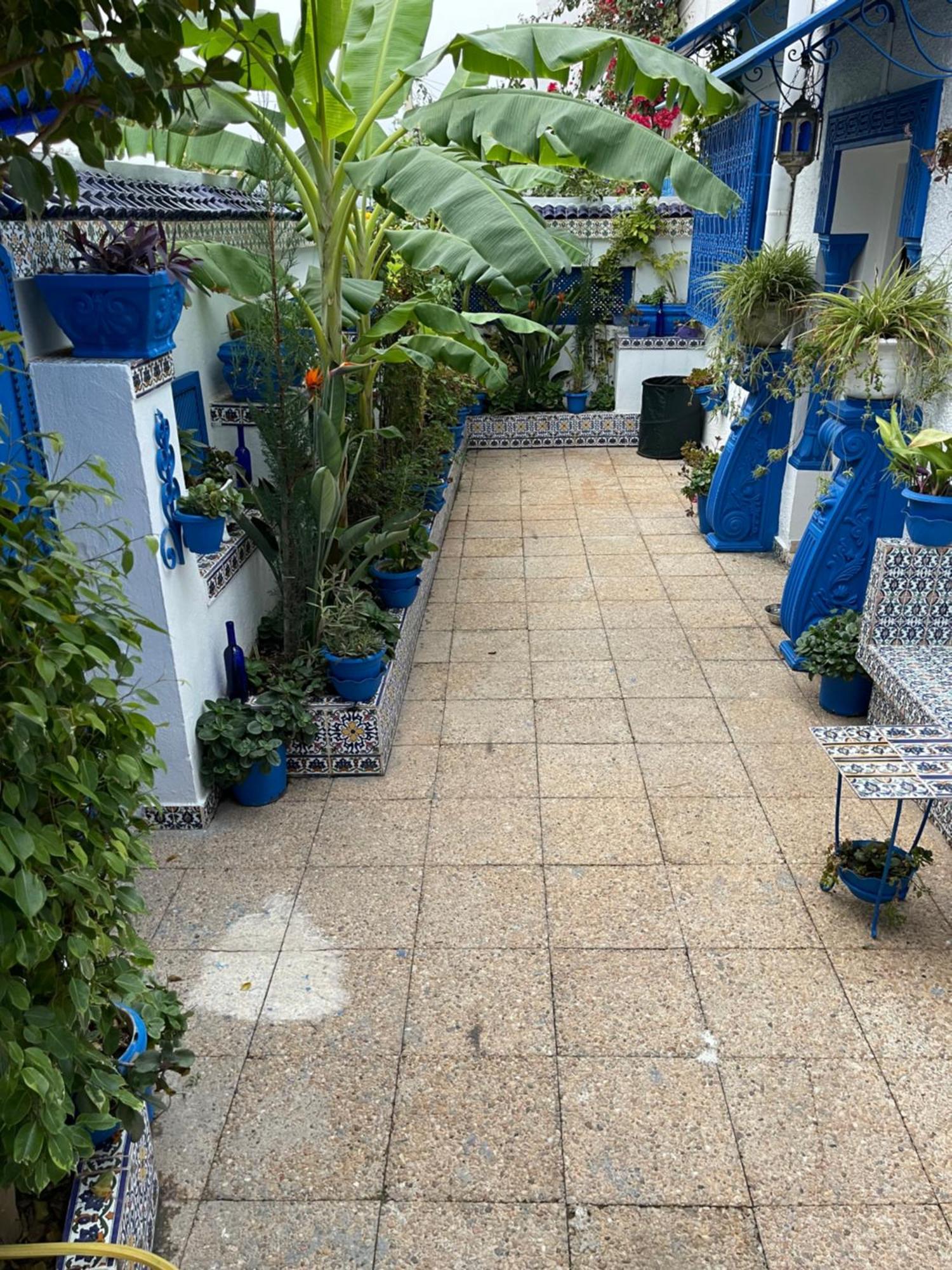 The Blue And White Perle Sidi Bou Said Exterior foto