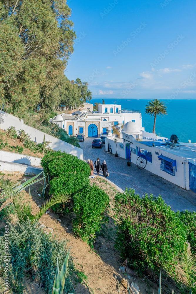 The Blue And White Perle Sidi Bou Said Exterior foto