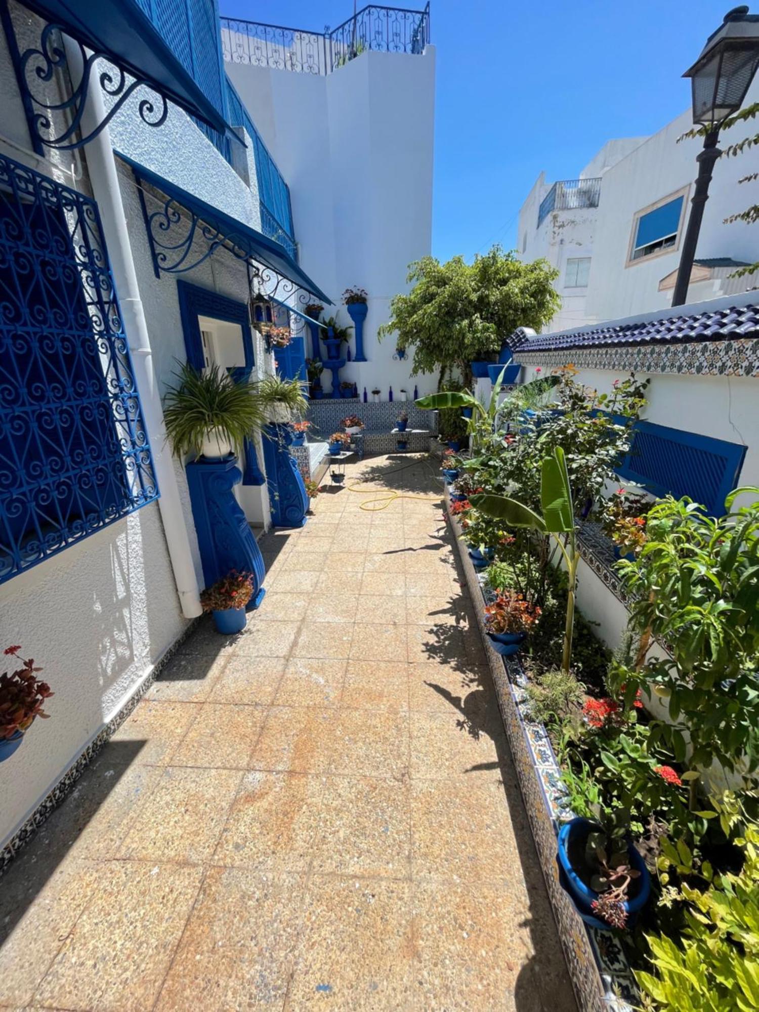The Blue And White Perle Sidi Bou Said Exterior foto